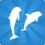 Grupo de Nado con Delfines